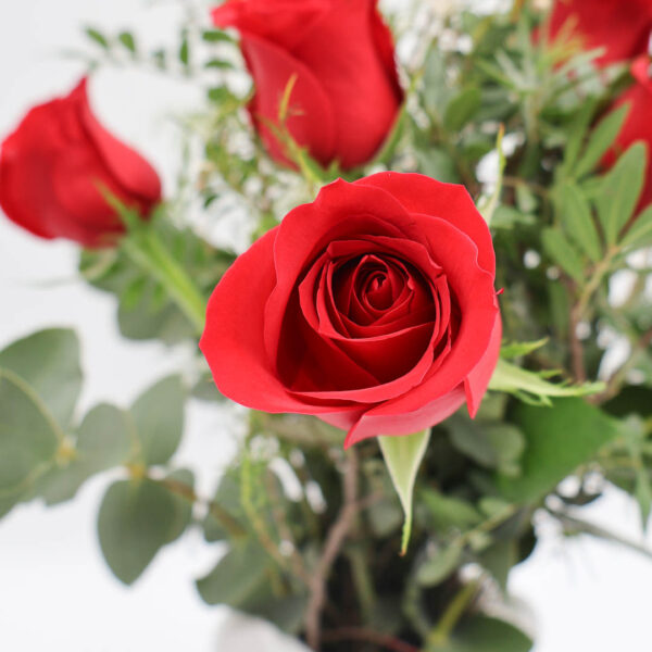 Ramo Wild Red - "Dilo sin filtros" (6 Rosas)